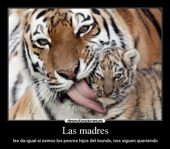 Las madres - les da igual si somos los peores hijos del mundo, nos siguen queriendo