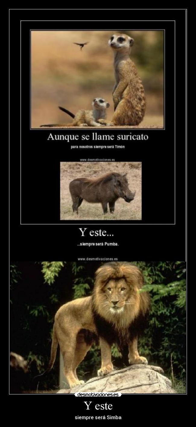 carteles leon suricato nombre pumba animales desmotivaciones