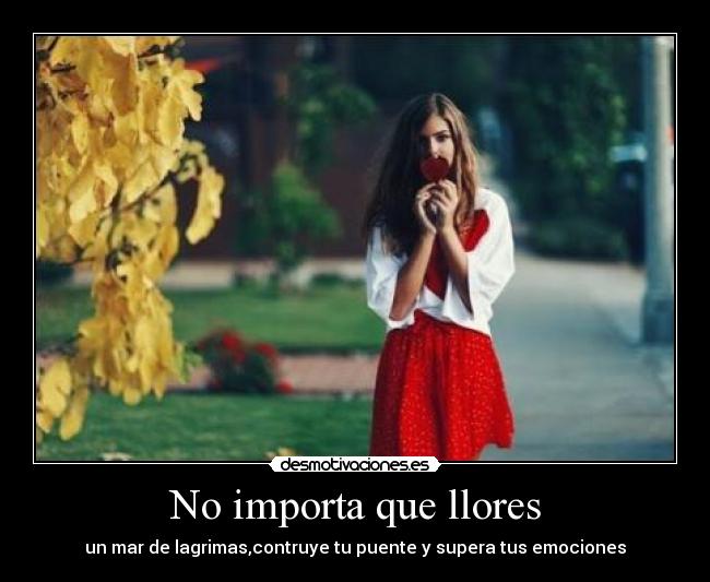 No importa que llores - 