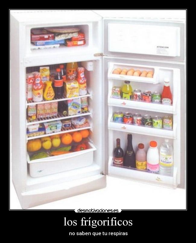 carteles laoallala desmotivaciones