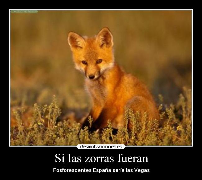 Si las zorras fueran - 