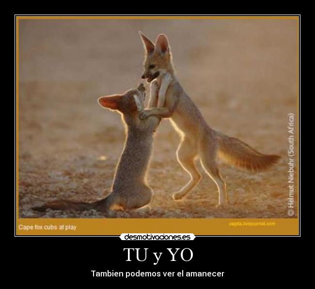 TU y YO -