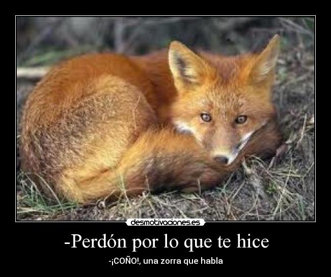-Perdón por lo que te hice -