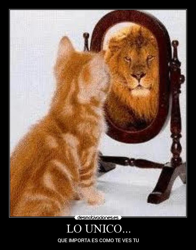 LO UNICO... - QUE IMPORTA ES COMO TE VES TU
