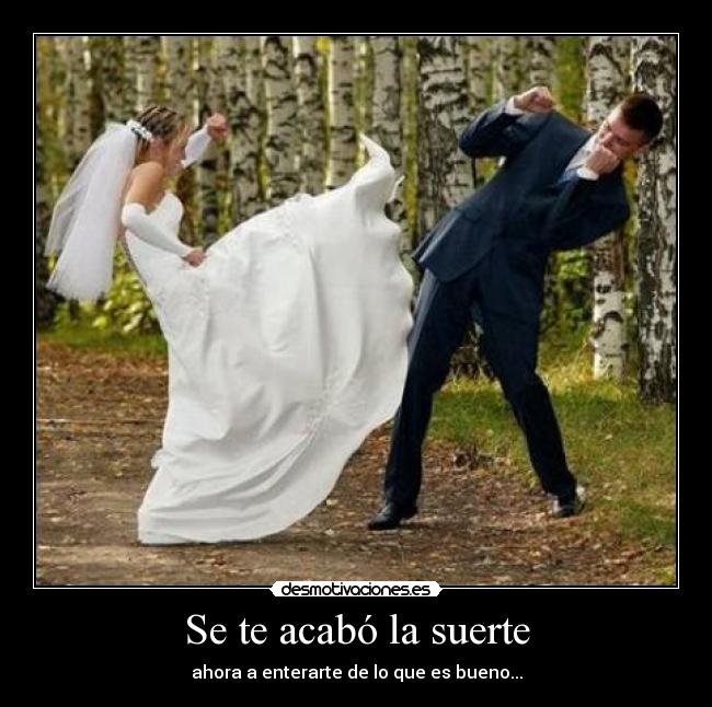 carteles guerra casados desmotivaciones