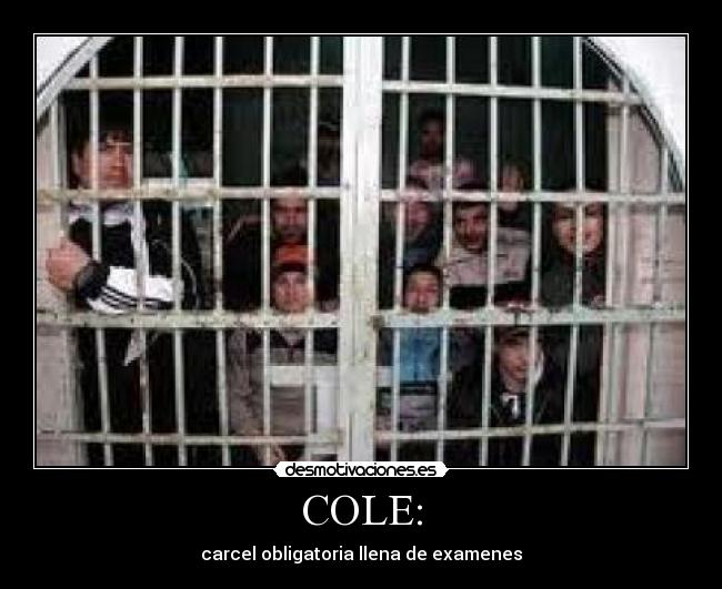 COLE: - carcel obligatoria llena de examenes