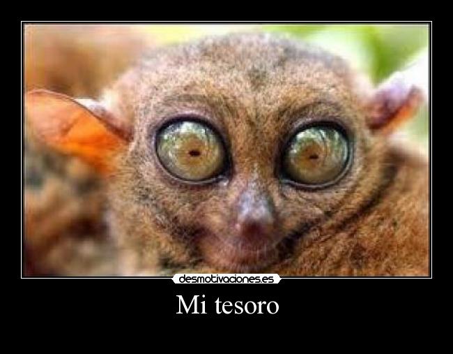 Mi tesoro -
