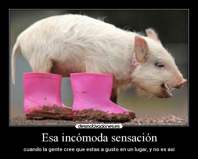 Esa incómoda sensación - cuando la gente cree que estas a gusto en un lugar, y no es así