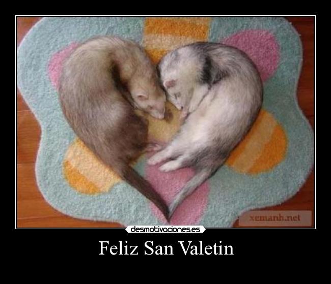 Feliz San Valetin - 