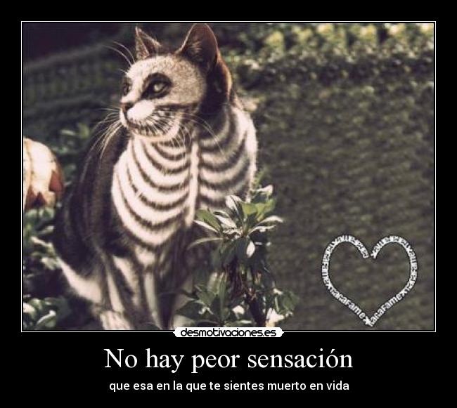 No hay peor sensación -