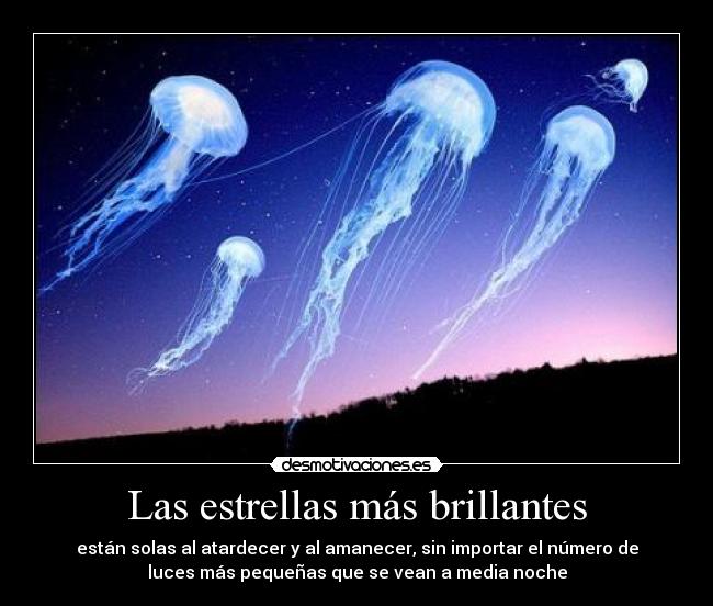 carteles seria mejor vez abejas fueran las medusas las que volaran desmotivaciones