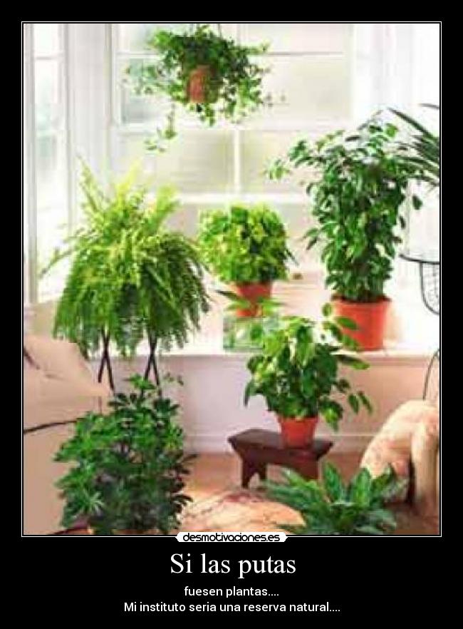 Si las putas -