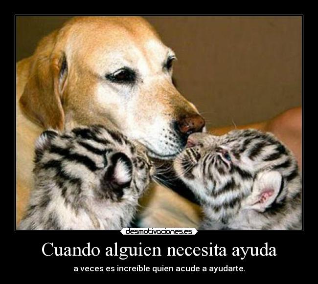 Cuando alguien necesita ayuda - 