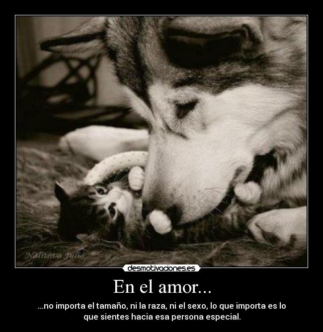 En el amor... - ...no importa el tamaño, ni la raza, ni el sexo, lo que importa es lo
que sientes hacia esa persona especial.