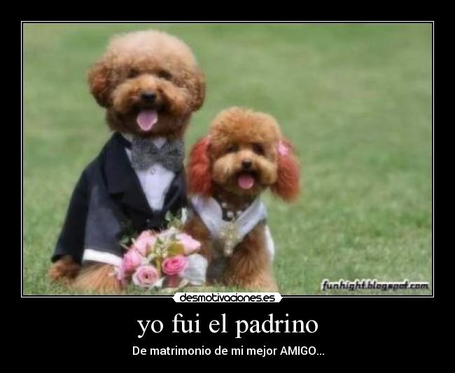 yo fui el padrino - De matrimonio de mi mejor AMIGO...