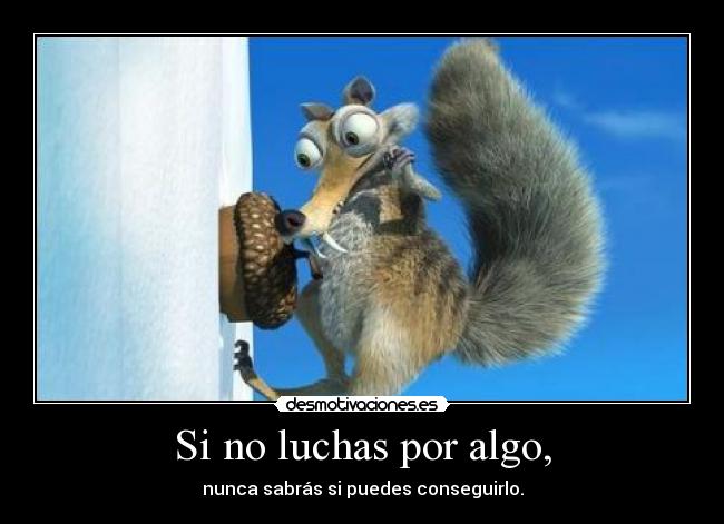 Si no luchas por algo, - nunca sabrás si puedes conseguirlo.