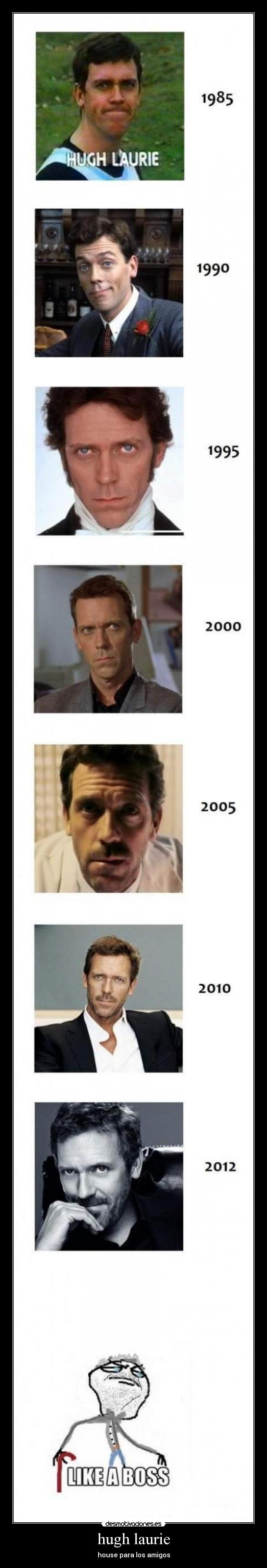 hugh laurie - 