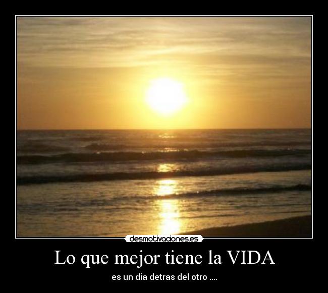 carteles vida dia desmotivaciones