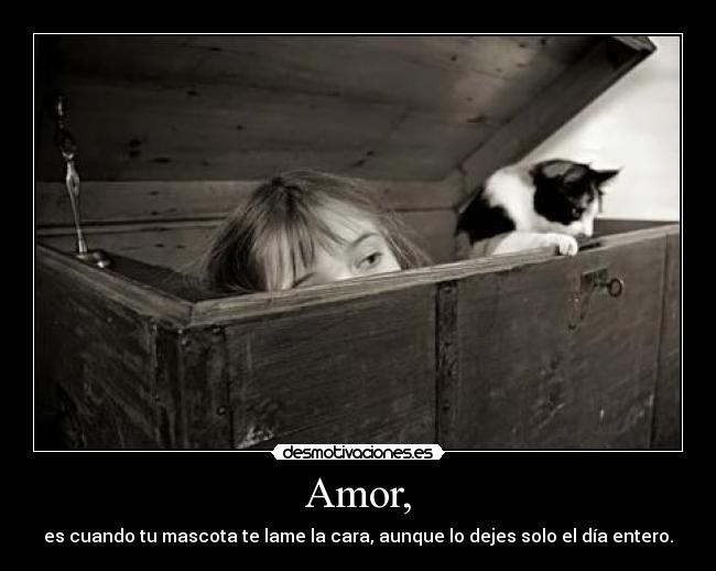 Amor, - es cuando tu mascota te lame la cara, aunque lo dejes solo el día entero.