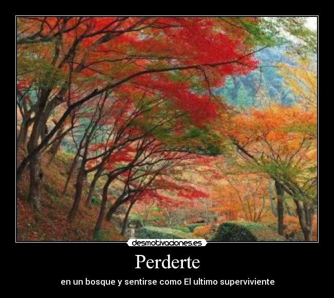 carteles gusta perderme desmotivaciones