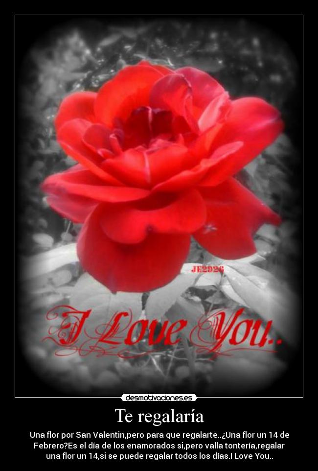 Te regalaría - Una flor por San Valentin,pero para que regalarte..¿Una flor un 14 de
Febrero?Es el día de los enamorados si,pero valla tontería,regalar
una flor un 14,si se puede regalar todos los días.I Love You..