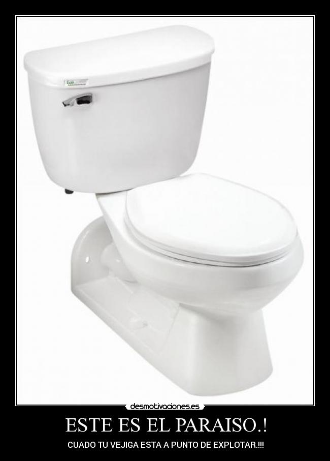 ESTE ES EL PARAISO.! -