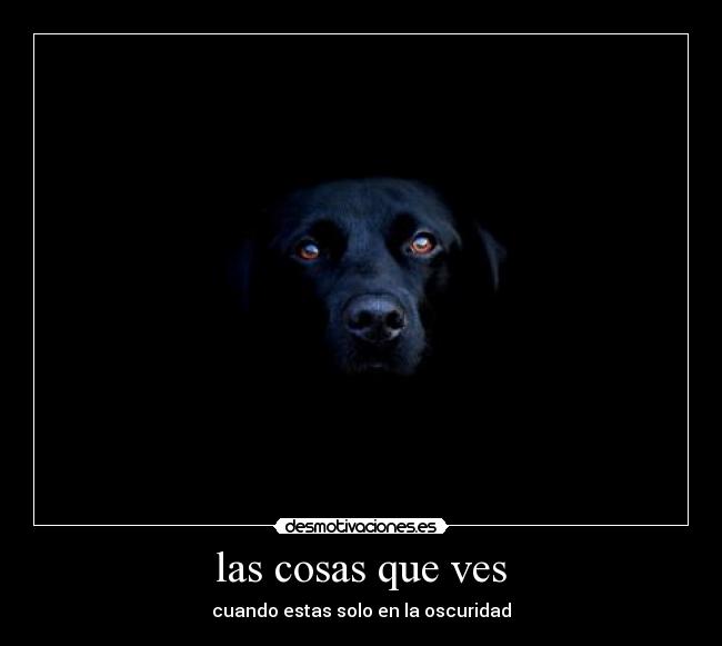 carteles oscuridad desmotivaciones