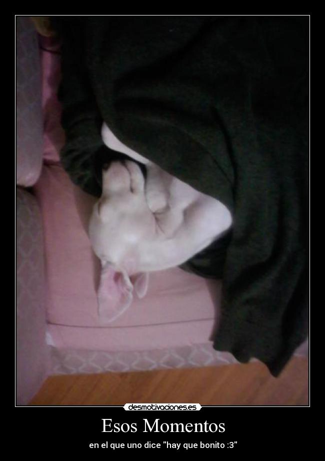 carteles nicolas desmotivaciones