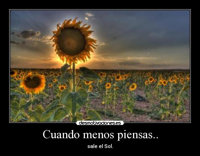 Cuando menos piensas.. - 