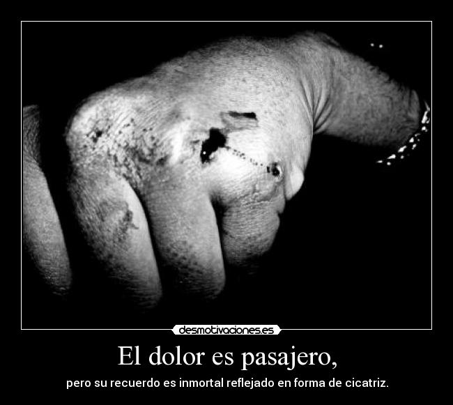 El dolor es pasajero, - pero su recuerdo es inmortal reflejado en forma de cicatriz.