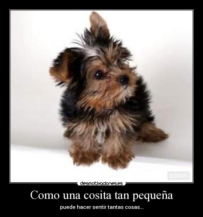 Como una cosita tan pequeña - puede hacer sentir tantas cosas...