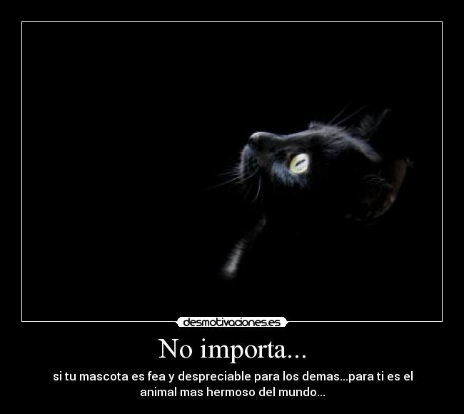 No importa... - 