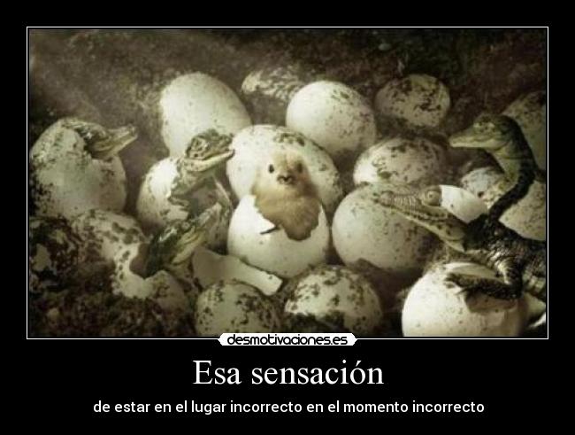 Esa sensación - 
