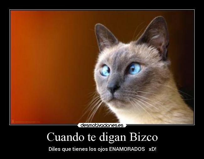 Cuando te digan Bizco - Diles que tienes los ojos ENAMORADOS ♥ xD!