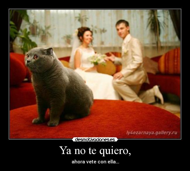 Ya no te quiero, - 