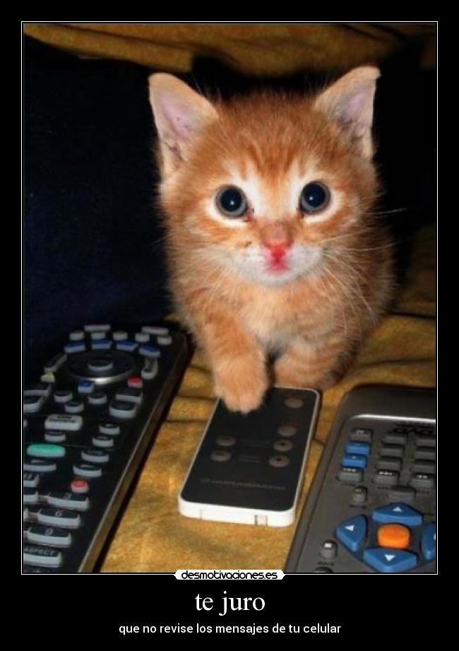 te juro - que no revise los mensajes de tu celular