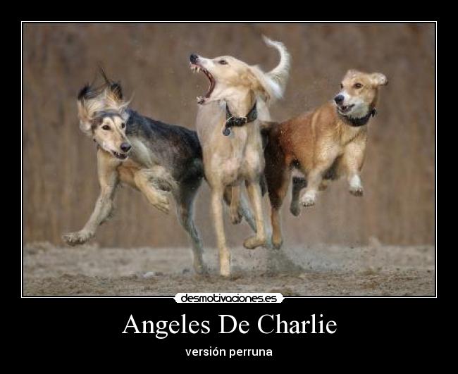 Angeles De Charlie - versión perruna