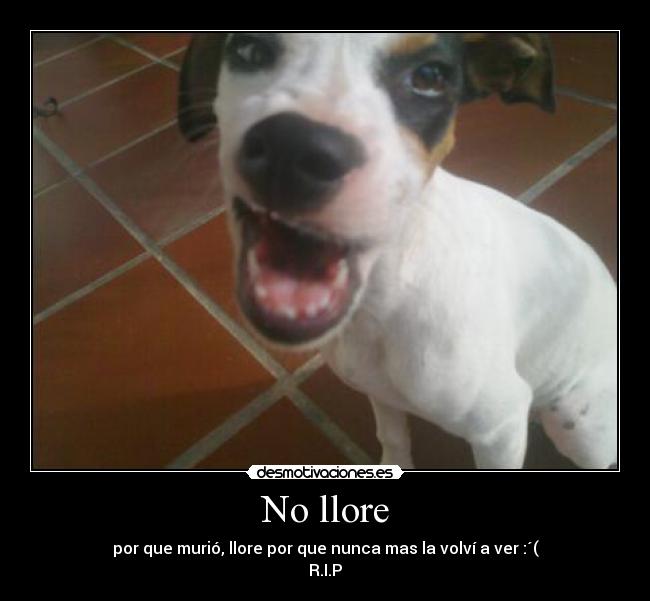 No llore -