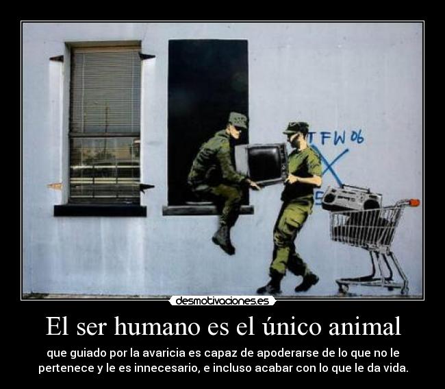 El ser humano es el único animal - que guiado por la avaricia es capaz de apoderarse de lo que no le
pertenece y le es innecesario, e incluso acabar con lo que le da vida.