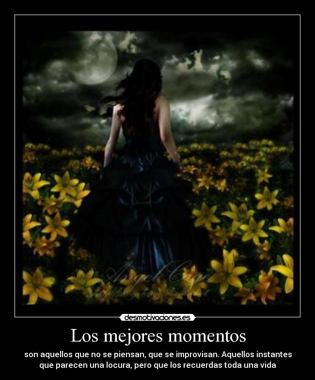 carteles vivir locuras desmotivaciones