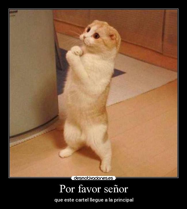 Por favor señor -