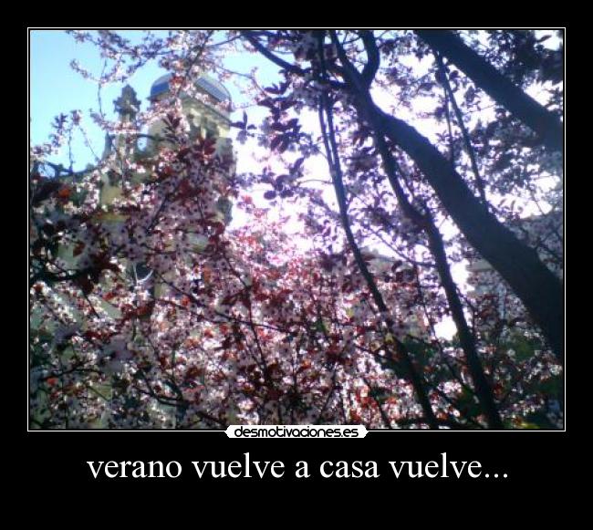 verano vuelve a casa vuelve... -