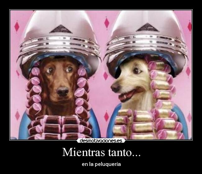 carteles peluqueria desmotivaciones