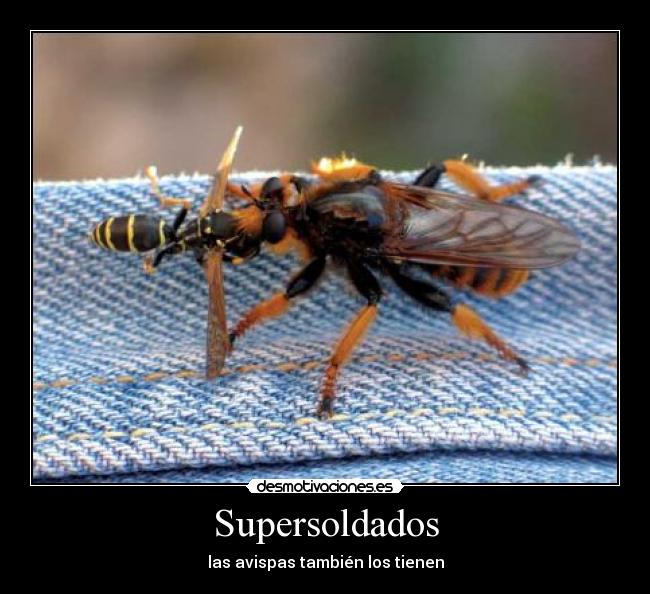 Supersoldados -