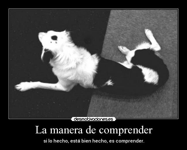 La manera de comprender -
