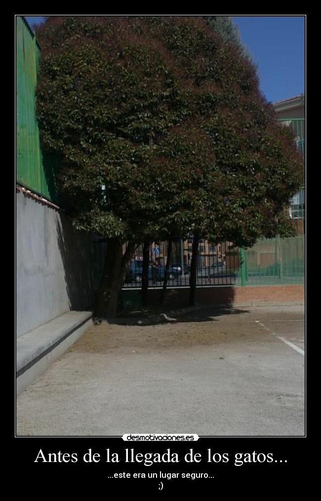 Antes de la llegada de los gatos... - ...este era un lugar seguro...
;)