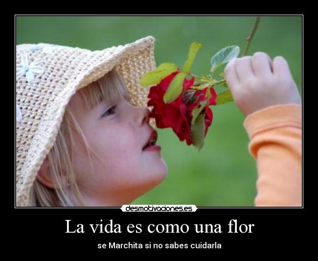 La vida es como una flor - 