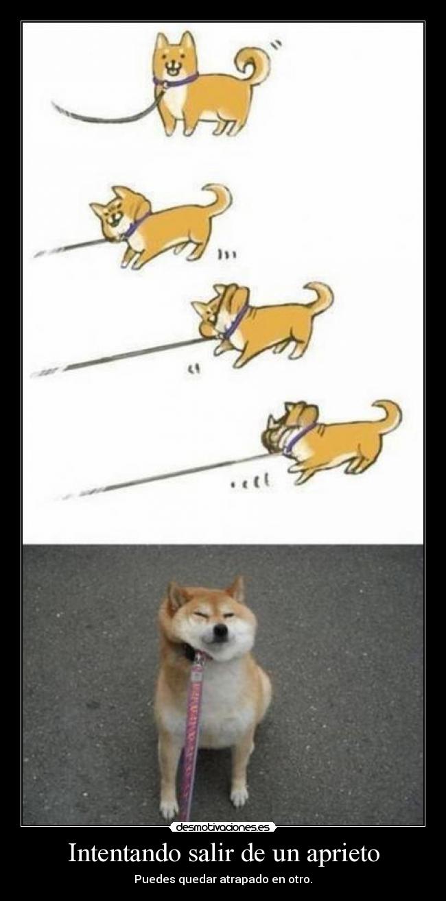 Intentando salir de un aprieto -