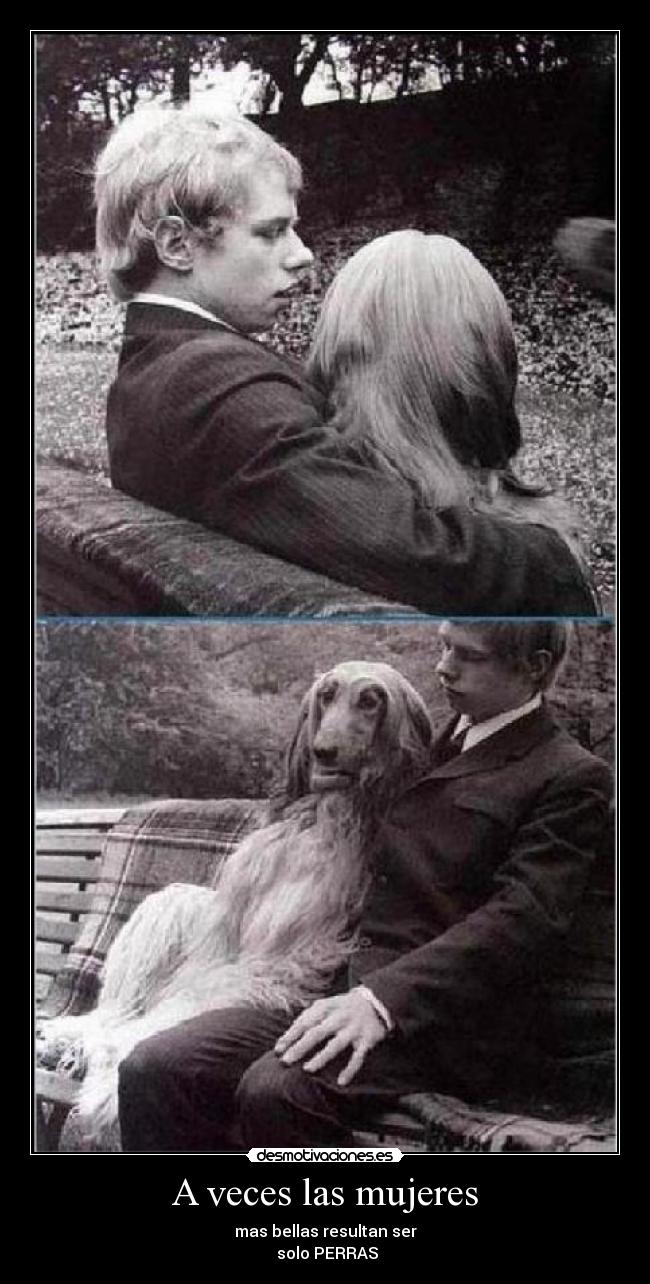 A veces las mujeres - mas bellas resultan ser
solo PERRAS
