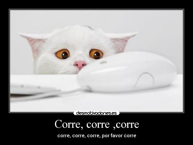 Corre, corre ,corre - corre, corre, corre, por favor corre